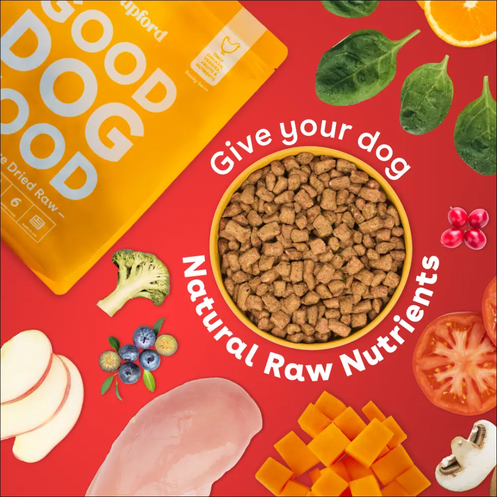 Red ad with a bowl of kibble ringed by raw meat and vegetables