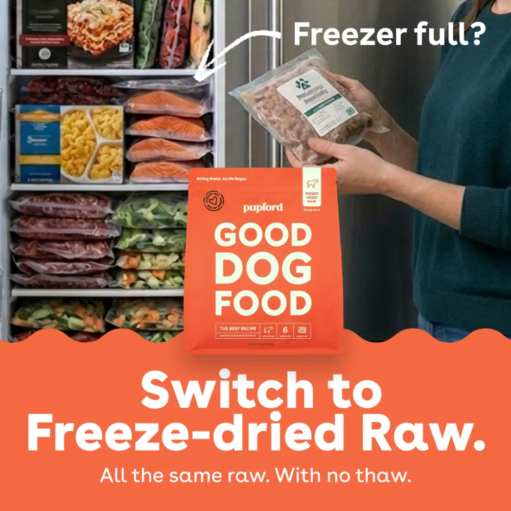 Orange Switch to Freeze-dried Raw ad
