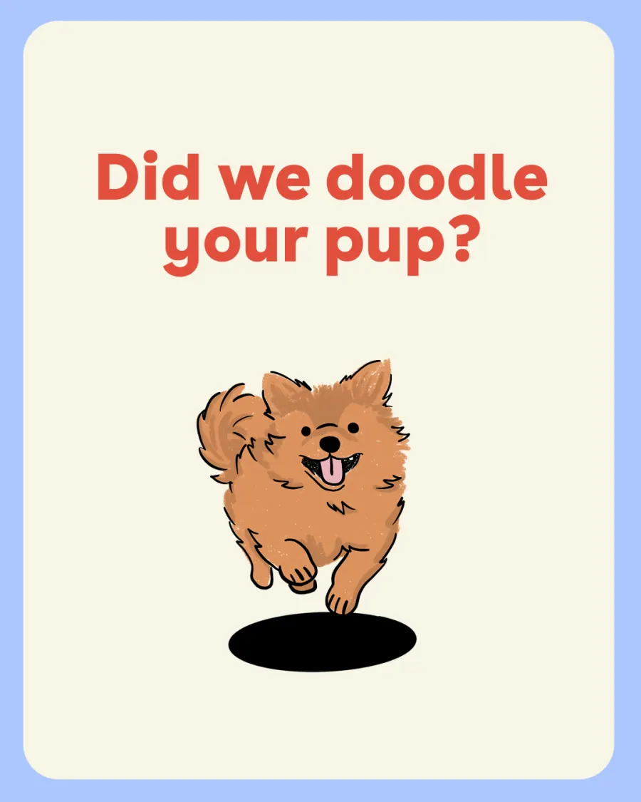 Did we draw your dog cover slide