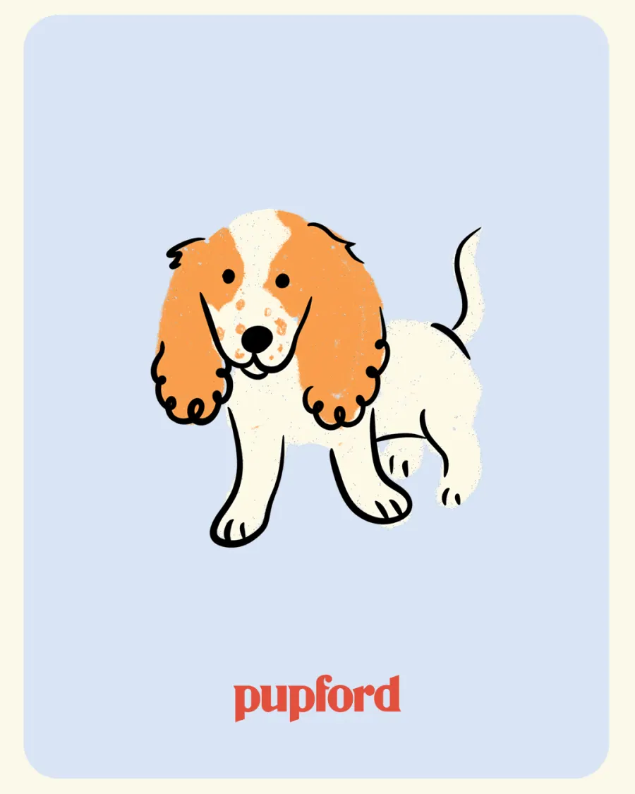 Illustrated pup on a pastel card