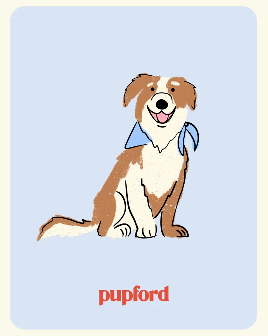 Illustrated pup on a pastel card