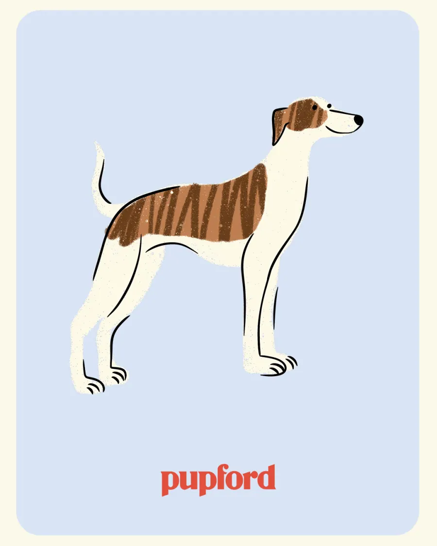Illustrated pup on a pastel card