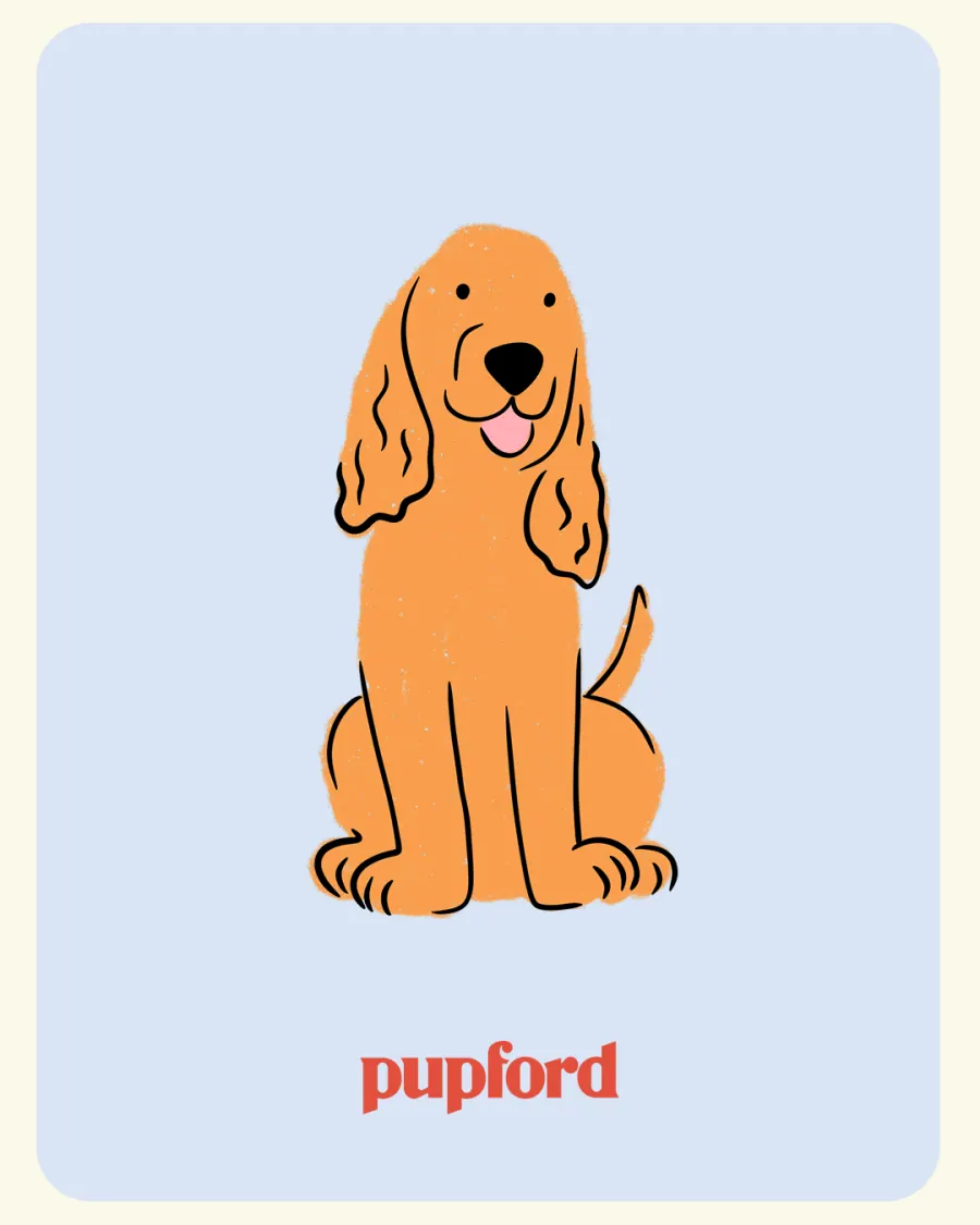 Illustrated pup on a pastel card