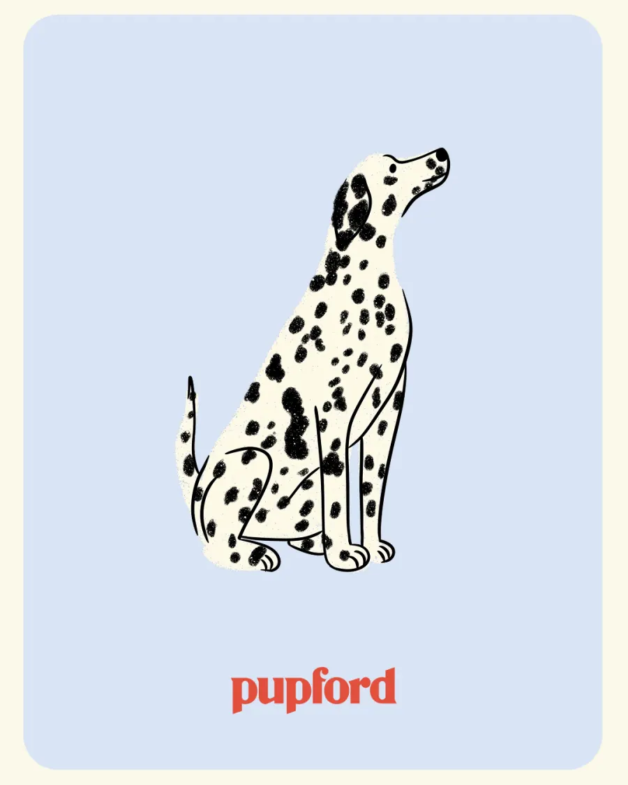 Illustrated pup on a pastel card