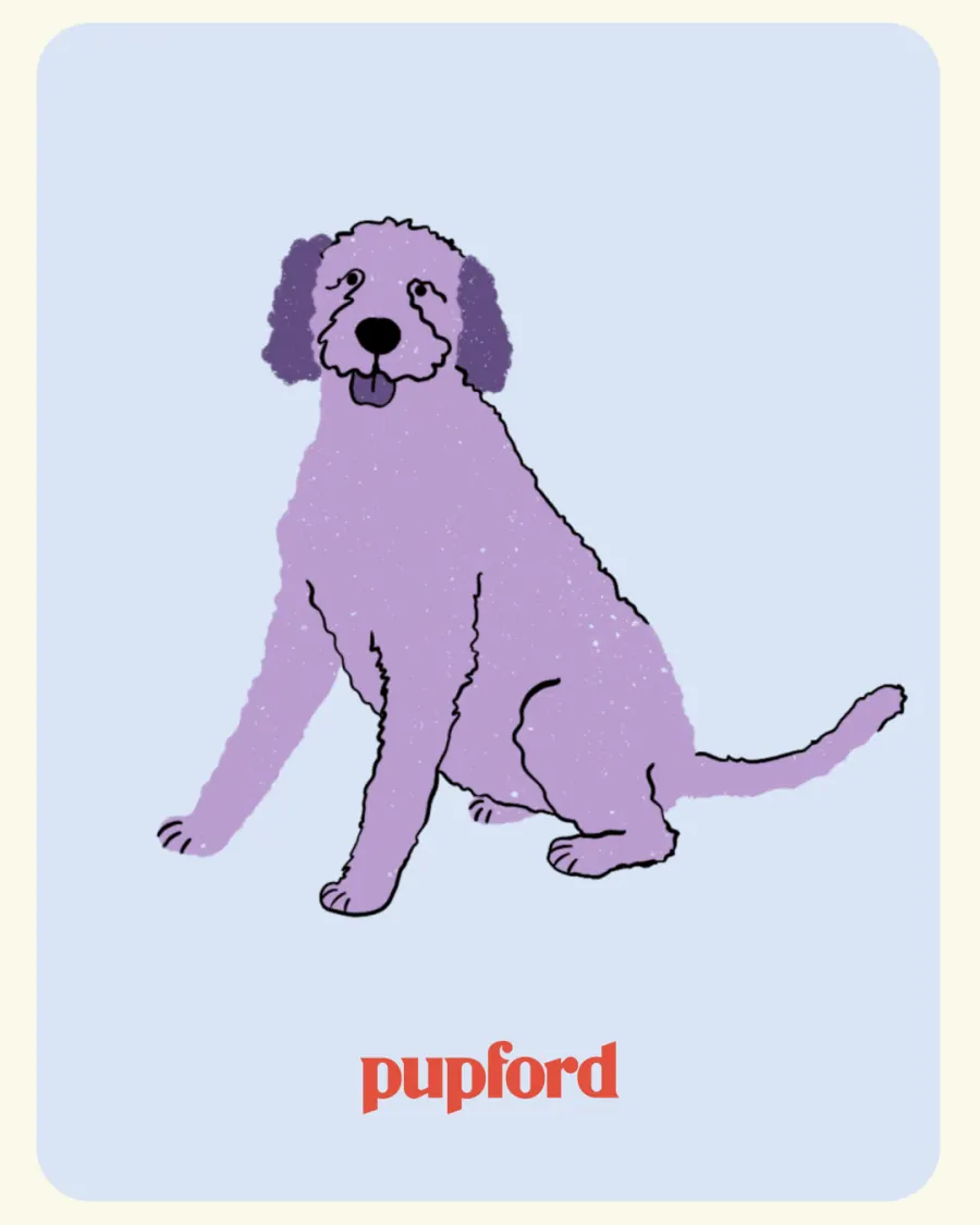 Illustrated pup on a pastel card