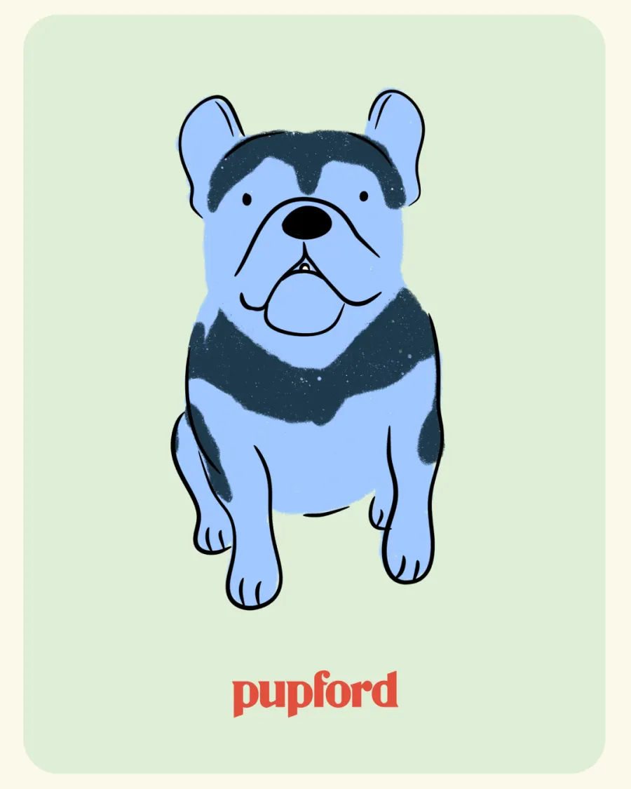 Illustrated pup on a pastel card