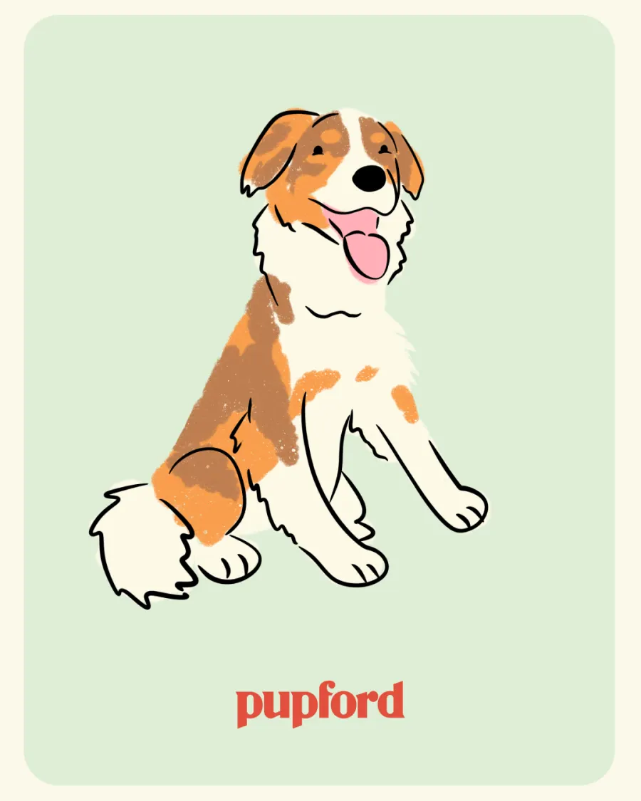 Illustrated pup on a pastel card