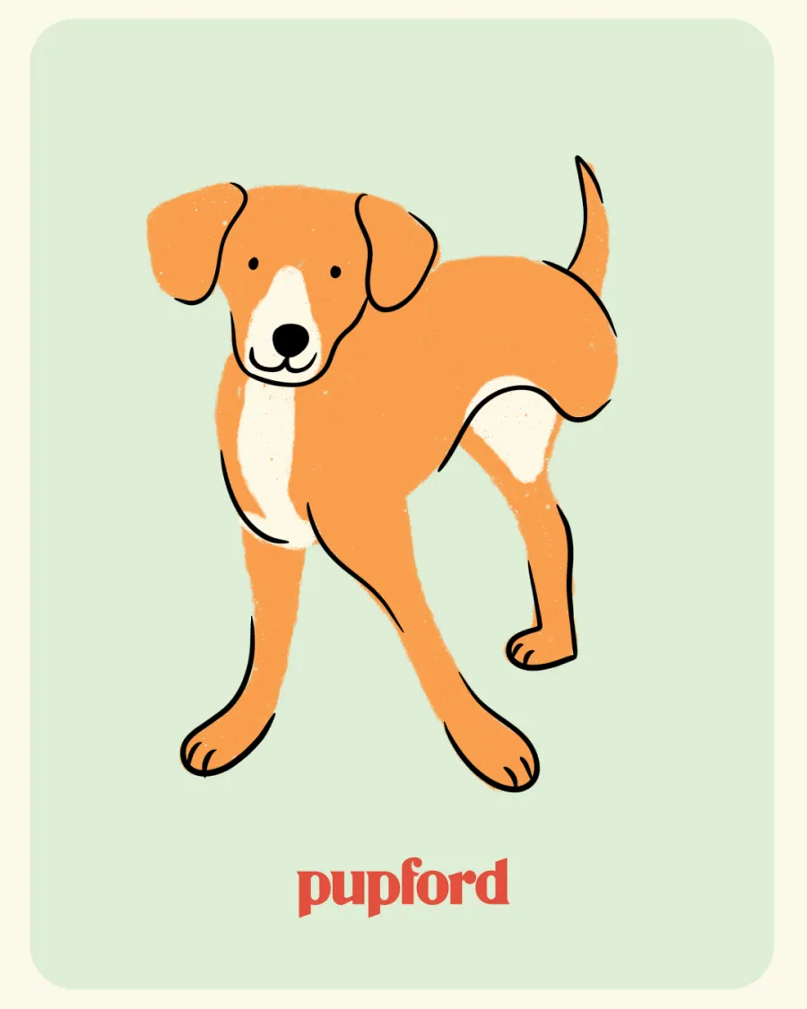 Illustrated pup on a pastel card