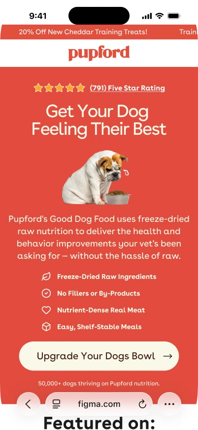 Good Dog Food landing page shown in a phone mockup