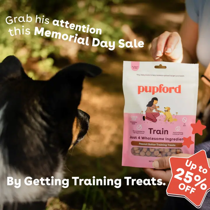 Grab his attention &mdash; 1:1 feed ad