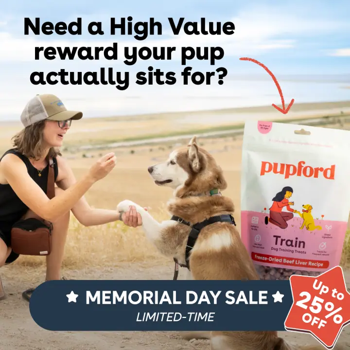 A reward they sit for &mdash; 1:1 feed ad