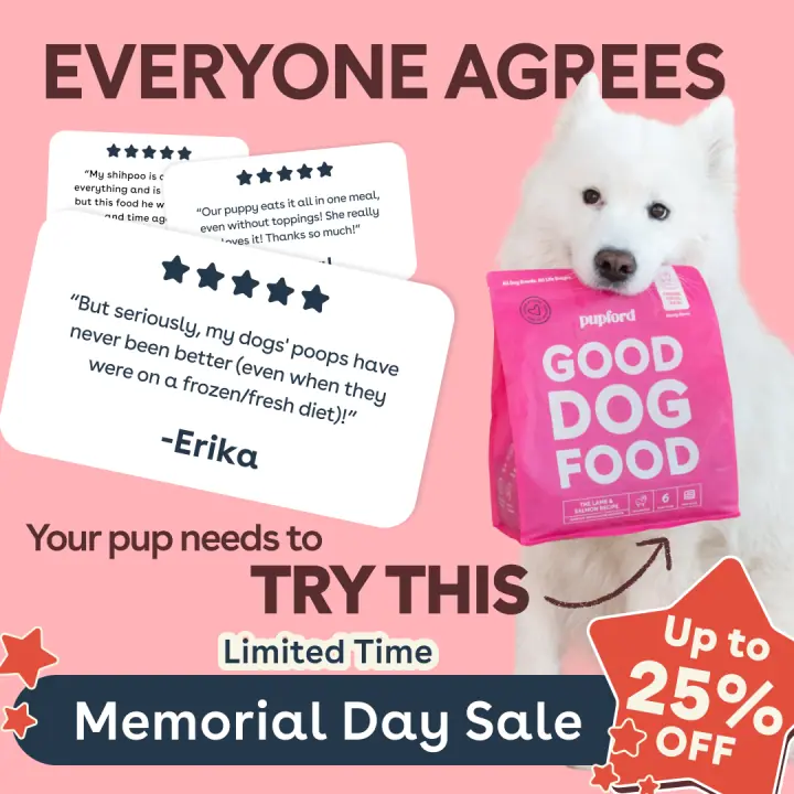 Everyone agrees &mdash; 1:1 feed ad