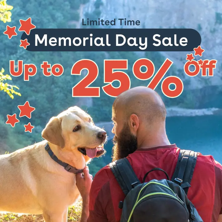 Limited-time banner &mdash; 1:1 feed ad