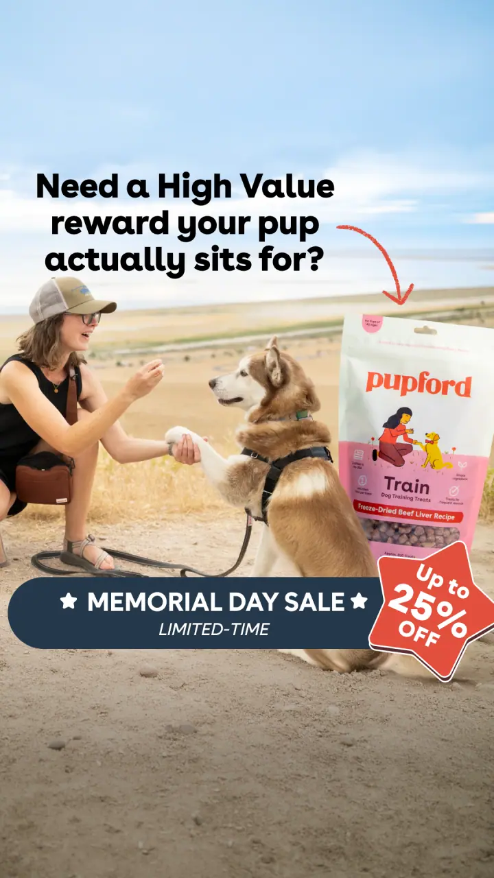 A reward they sit for &mdash; 9:16 story ad