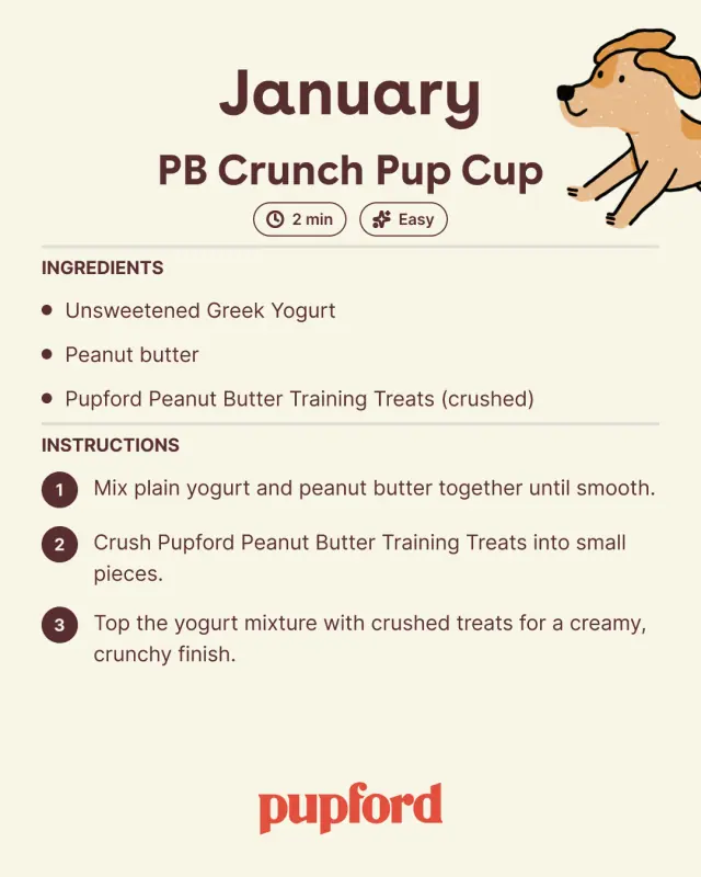 January treat recipe card with an illustrated pup