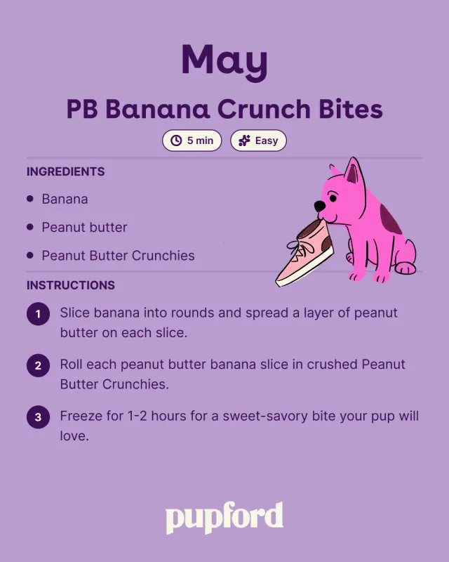 May treat recipe card with an illustrated pup