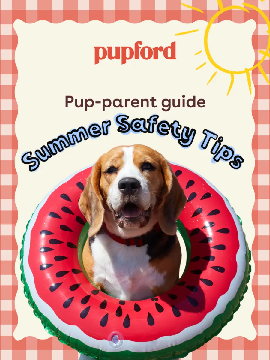 Summer safety tips carousel slide