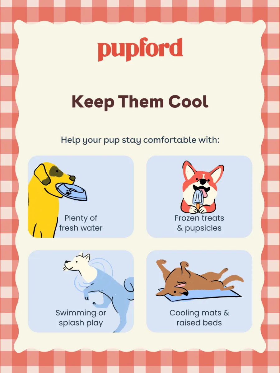 Summer safety tips carousel slide