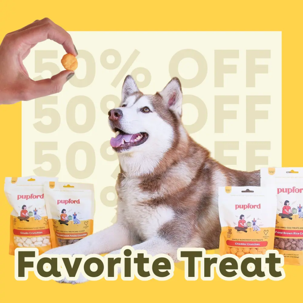 Yellow ad frame reading Favorite Treat with a husky and product bags