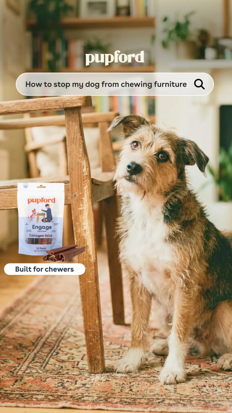 Story ad framed as a search for how to stop my dog chewing furniture, with an Engage collagen stick bag beside a chewed chair leg