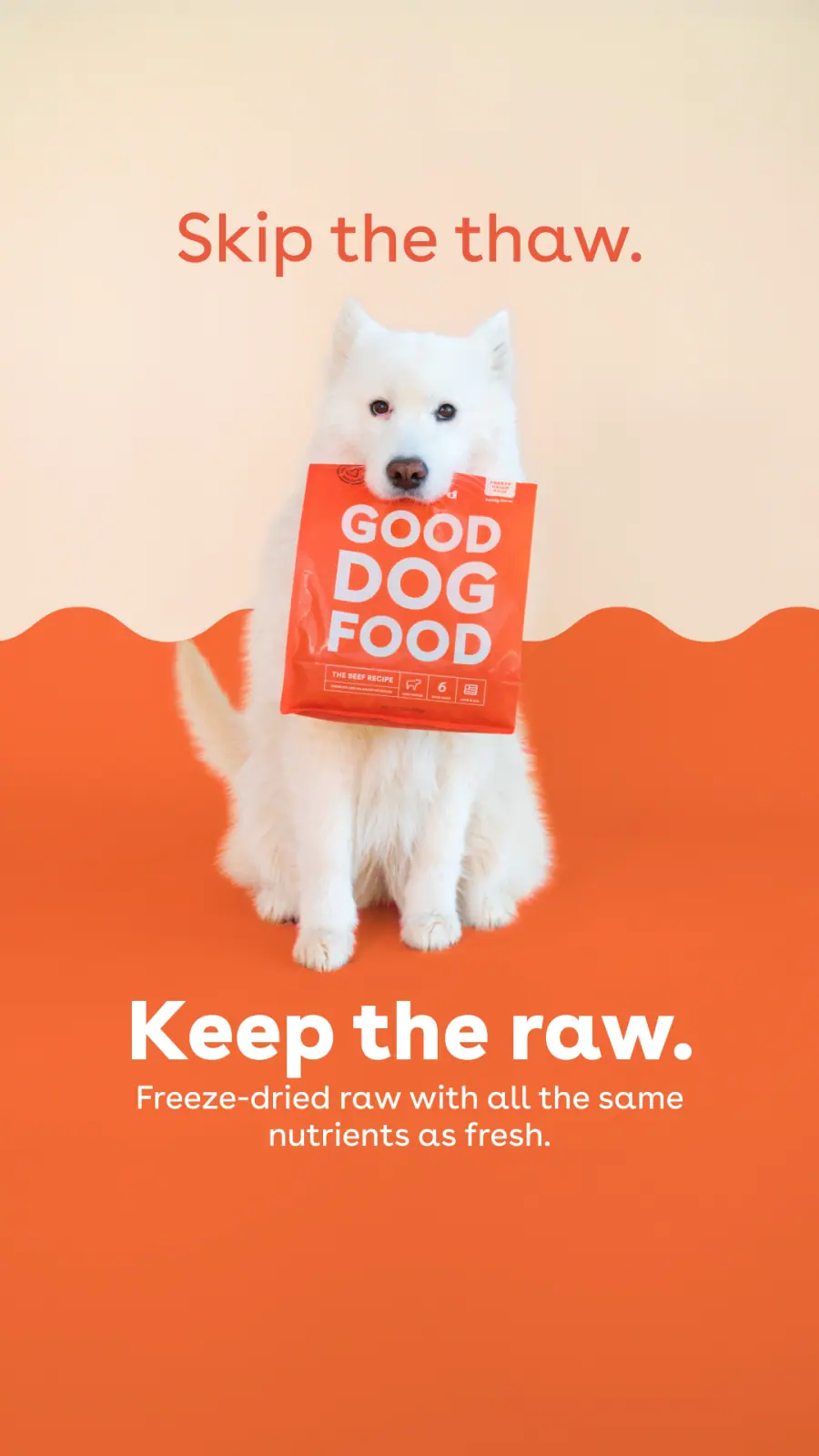 Vertical Skip the thaw ad with a white dog holding a Good Dog Food bag