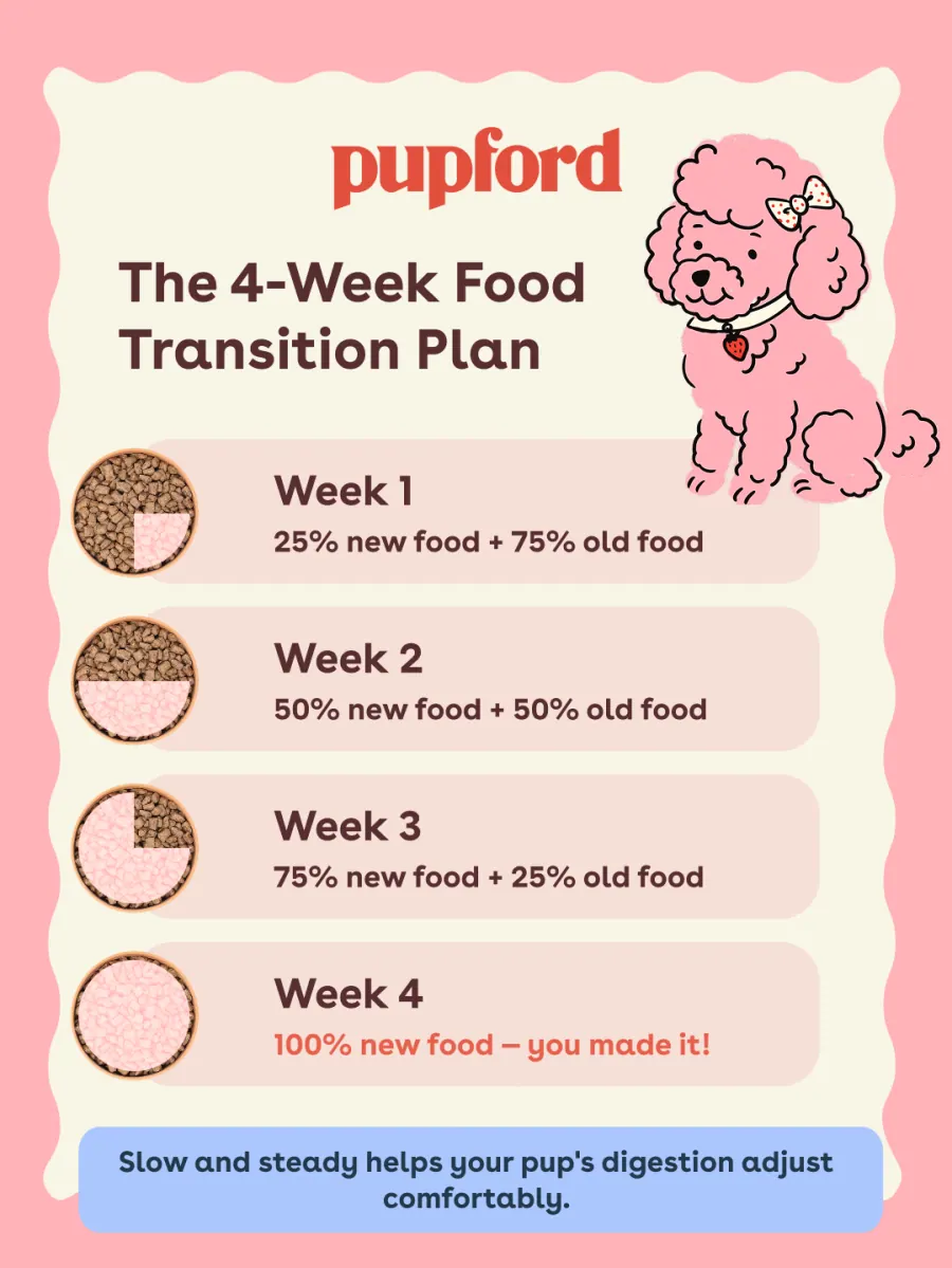 Food transition carousel slide