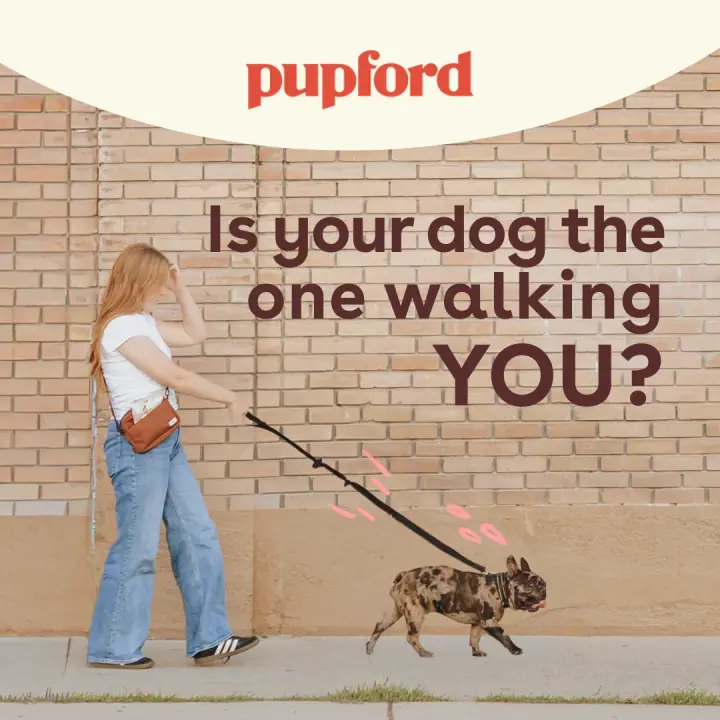 &ldquo;Walking YOU?&rdquo; &mdash; 1:1 feed ad
