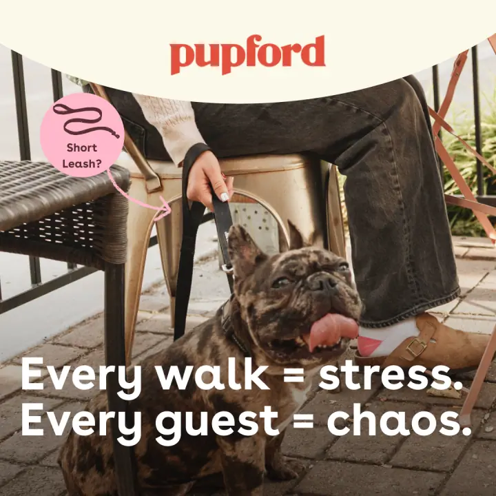 &ldquo;Every walk = stress&rdquo; &mdash; 1:1 feed ad