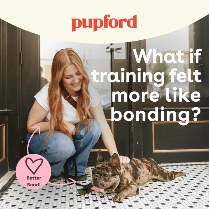 &ldquo;More like bonding&rdquo; &mdash; 1:1 feed ad