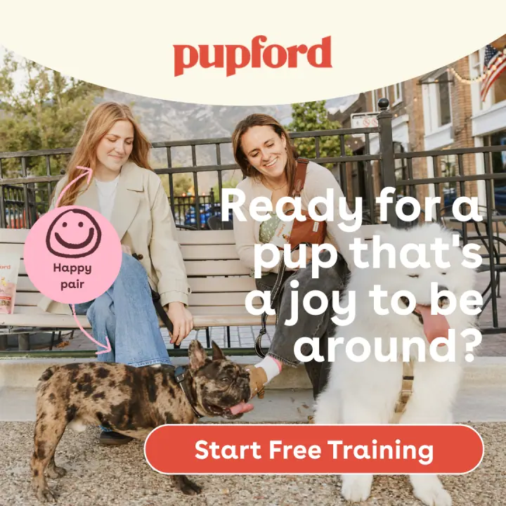 &ldquo;A joy to be around&rdquo; &mdash; 1:1 feed ad
