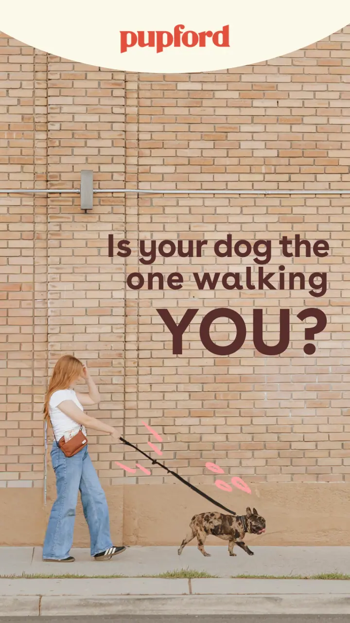 &ldquo;Walking YOU?&rdquo; &mdash; 9:16 story ad