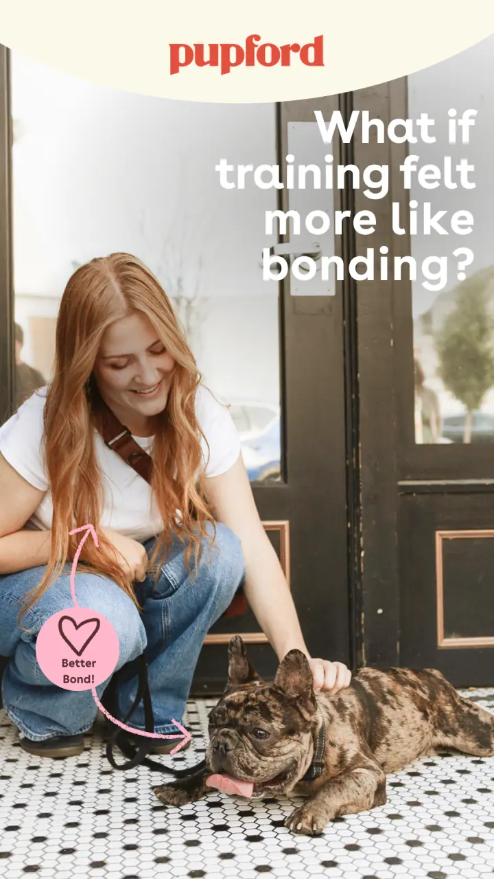 &ldquo;More like bonding&rdquo; &mdash; 9:16 story ad