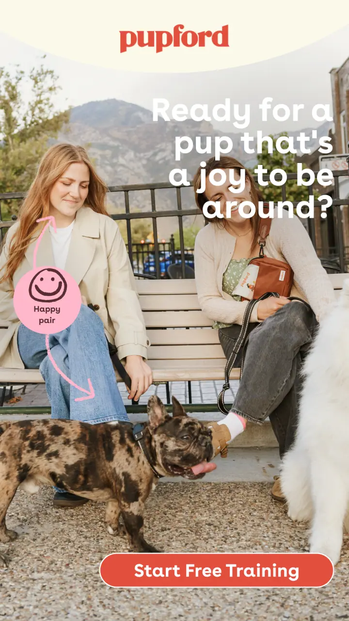 &ldquo;A joy to be around&rdquo; &mdash; 9:16 story ad